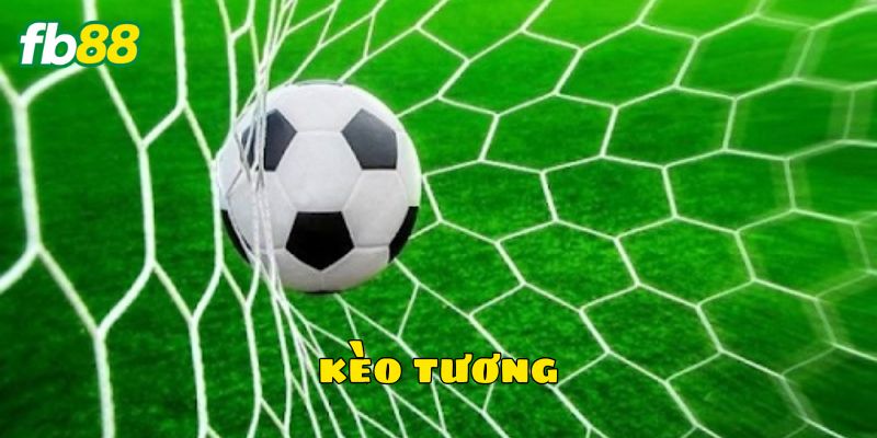 Bí quyết chơi kèo tương thắng đậm hiệu quả